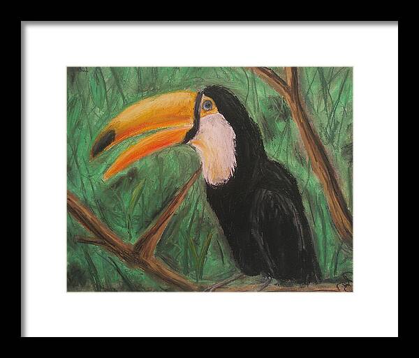 Toucan - Framed Print