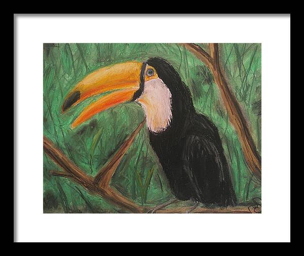 Toucan - Framed Print