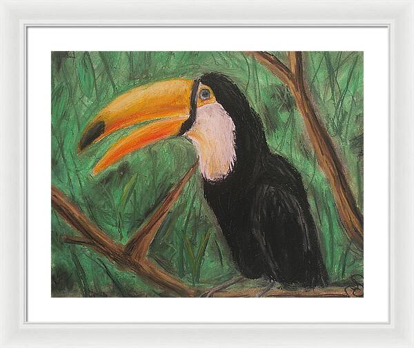 Toucan - Framed Print