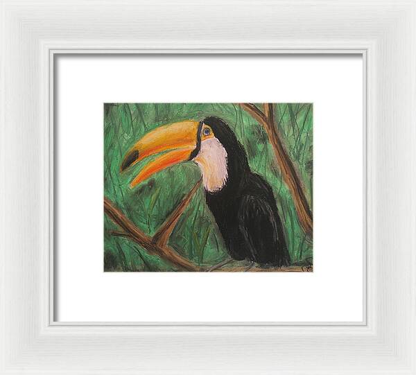 Toucan - Framed Print