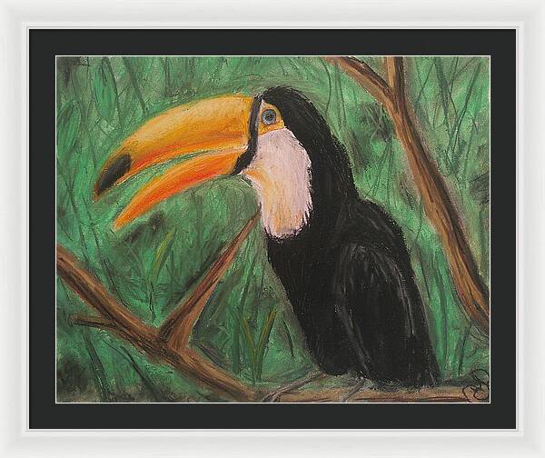 Toucan - Framed Print