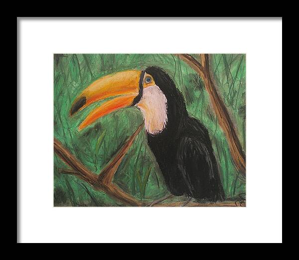 Toucan - Framed Print