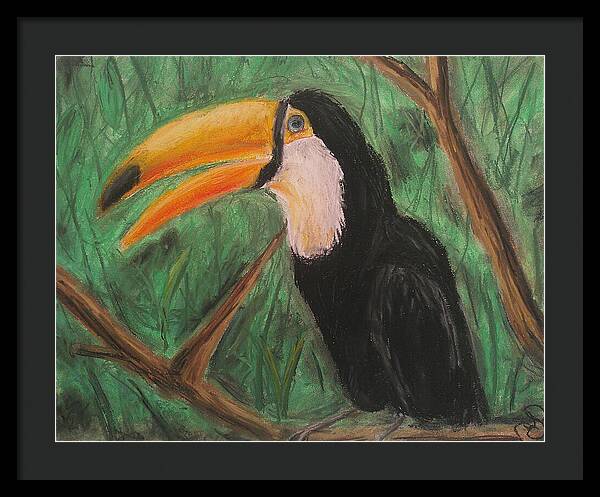 Toucan - Framed Print