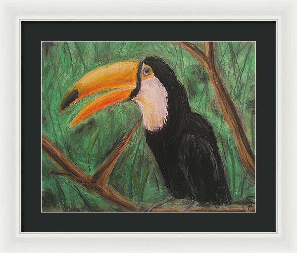 Toucan - Framed Print