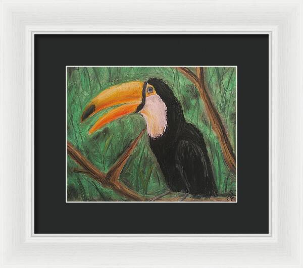 Toucan - Framed Print