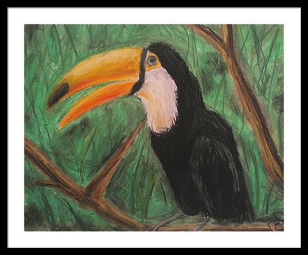 Toucan - Framed Print