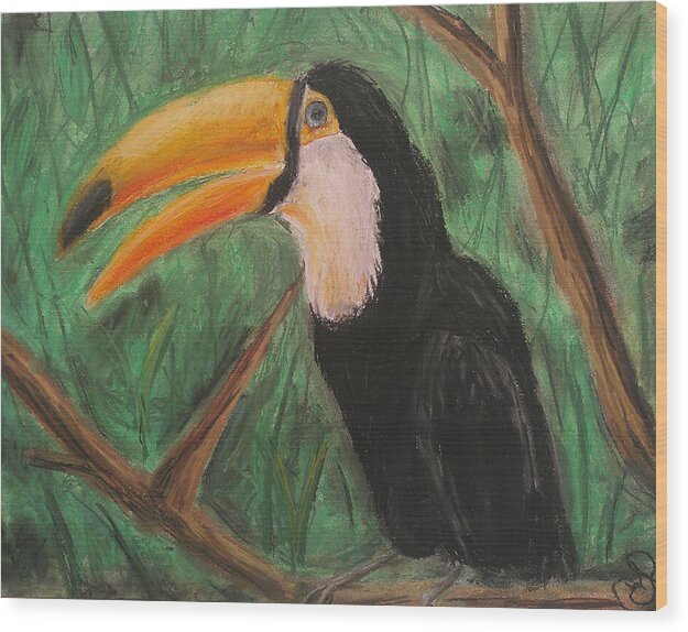 Toucan - Wood Print