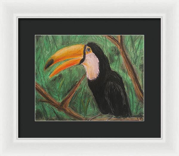 Toucan - Framed Print