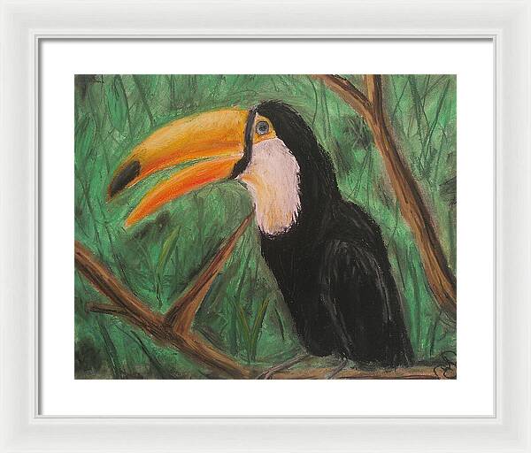 Toucan - Framed Print