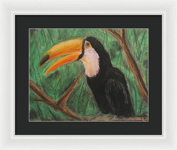 Toucan - Framed Print