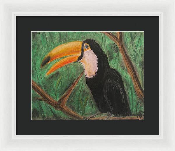 Toucan - Framed Print