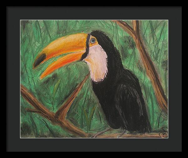 Toucan - Framed Print