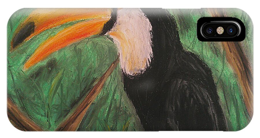 Toucan - Phone Case