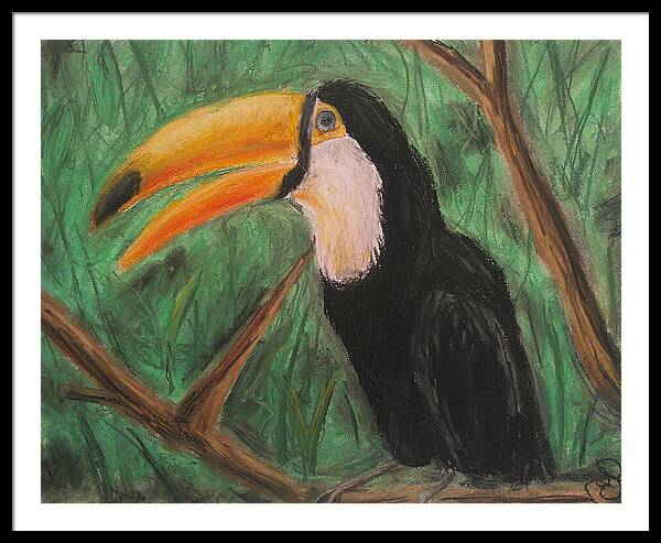 Toucan - Framed Print