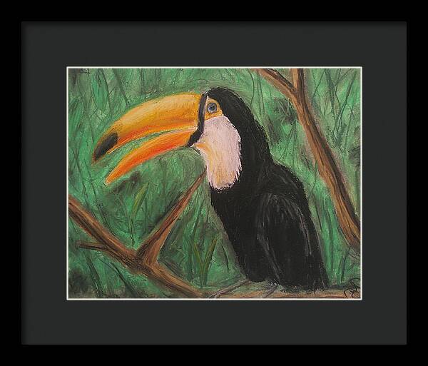 Toucan - Framed Print