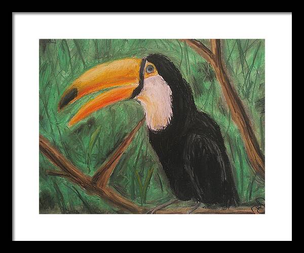 Toucan - Framed Print