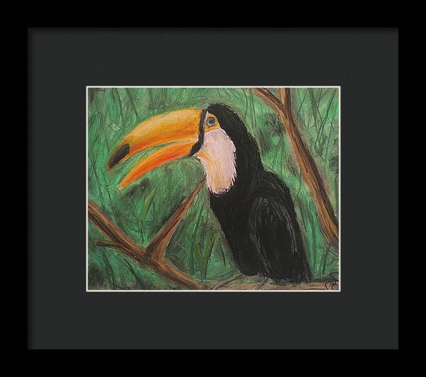 Toucan - Framed Print