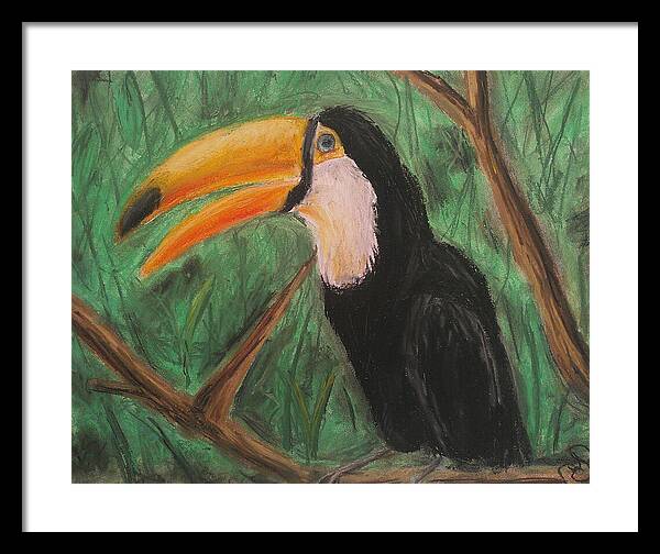 Toucan - Framed Print