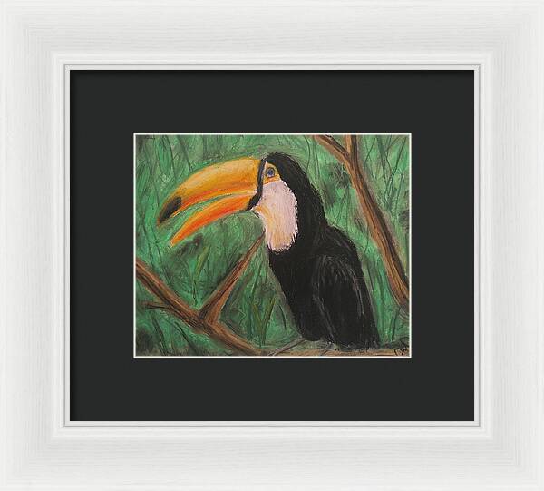 Toucan - Framed Print