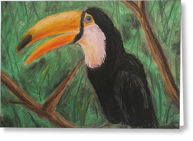 Toucan - Greeting Card