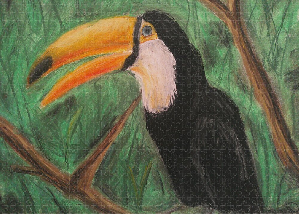 Toucan - Puzzle