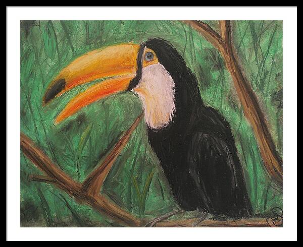 Toucan - Framed Print