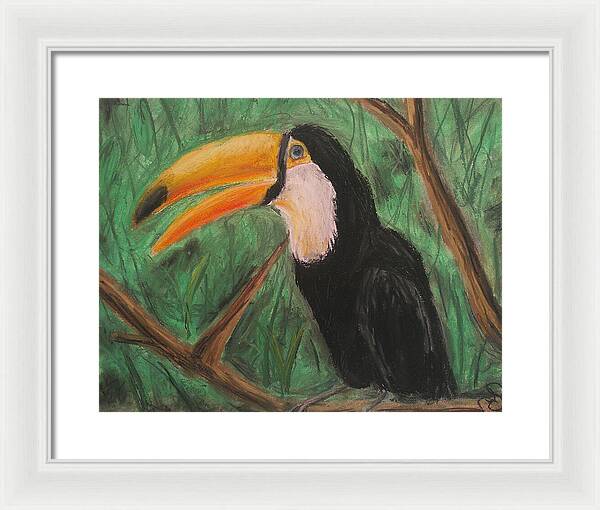 Toucan - Framed Print