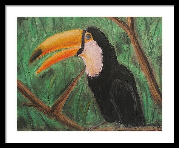 Toucan - Framed Print