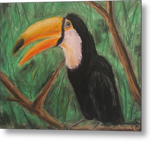 Toucan - Metal Print