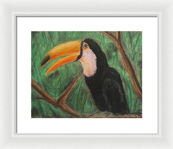 Toucan - Framed Print