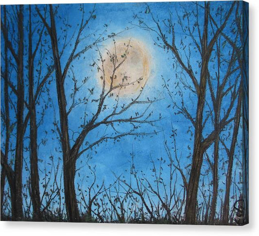 Poet and her Soul Speaking Paintings ~ prints, originals and more

Shady moon in the dark
Lighting up the woodland park
Playing in the light
Lighting up the night
The dark moon with it's night light

Artwork and Poetry of Artist Jen Shearer


This is a original soft pastel painting printed on merchandise.