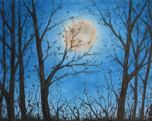 Poet and her Soul Speaking Paintings ~ prints, originals and more

Shady moon in the dark
Lighting up the woodland park
Playing in the light
Lighting up the night
The dark moon with it's night light

Artwork and Poetry of Artist Jen Shearer


This is a original soft pastel painting printed on merchandise.