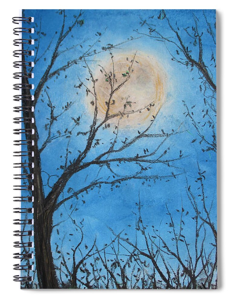 Wood Night Light ~ Spiral Notebook