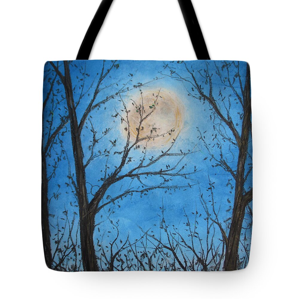 Wood Night Light ~ Tote Bag