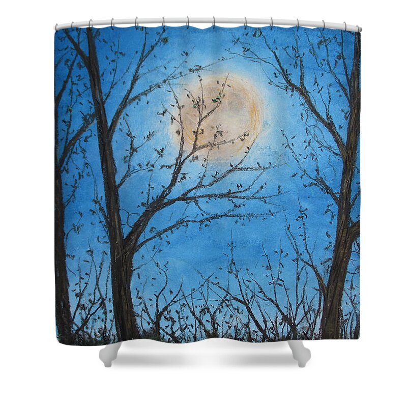 Wood Night Light ~ Shower Curtain