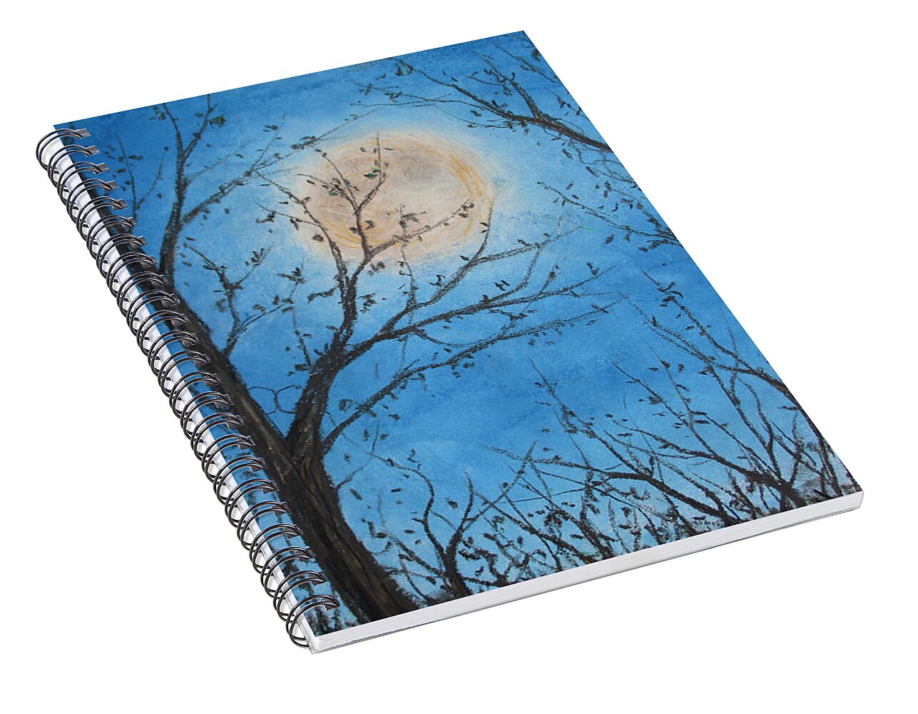 Wood Night Light ~ Spiral Notebook