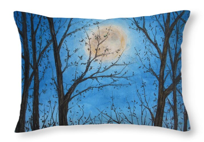 Wood Night Light ~ Throw Pillow