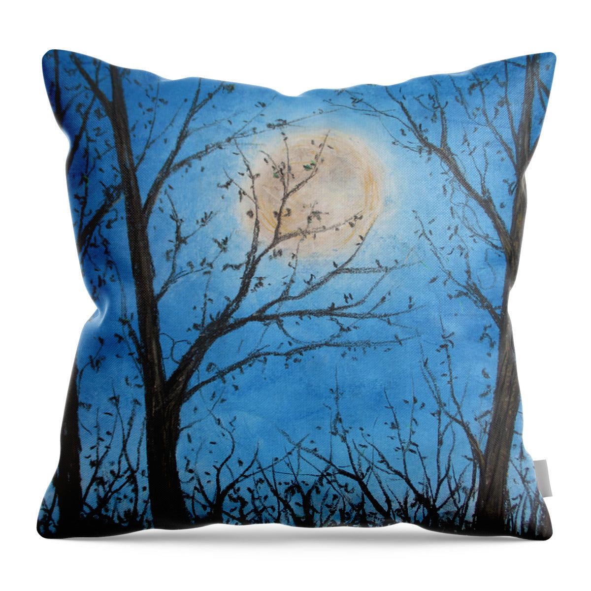 Wood Night Light ~ Throw Pillow