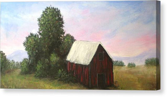 Barn Out Back  - Canvas Print