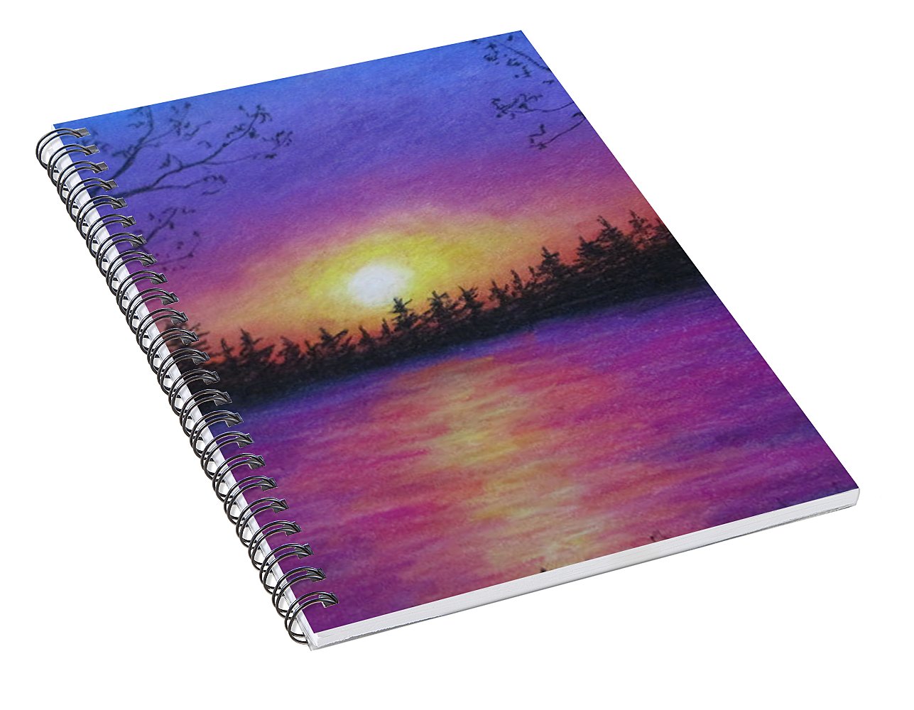 Catastrophic Beauty ~ Spiral Notebook