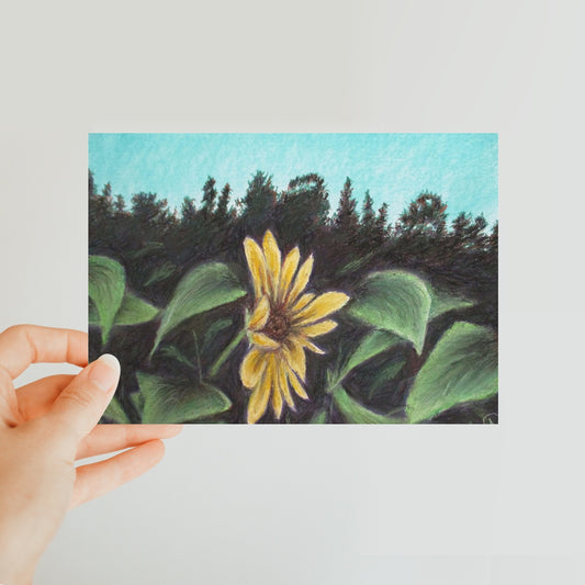 Flower Hour ~ Postcard