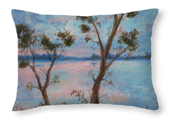 Day Night Flight Sight - Throw Pillow