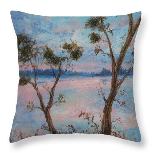 Day Night Flight Sight - Throw Pillow