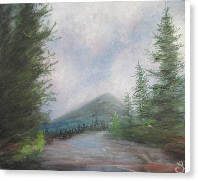 Evergreen - Canvas Print