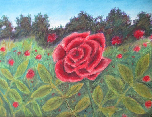 Field of Roses - Art Print