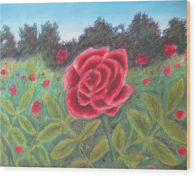 Field of Roses - Wood Print