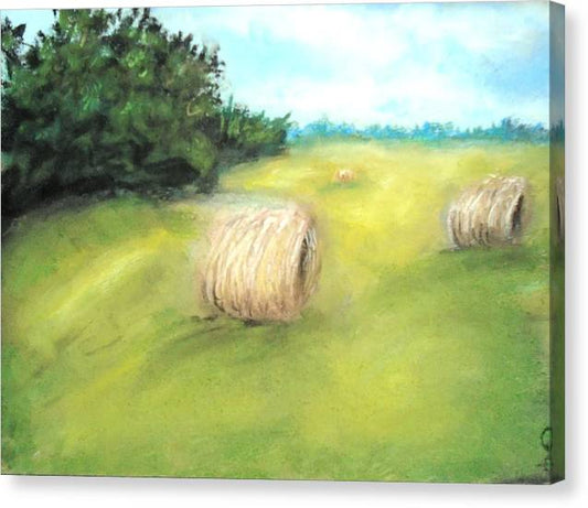 Fields Of Dreams - Canvas Print