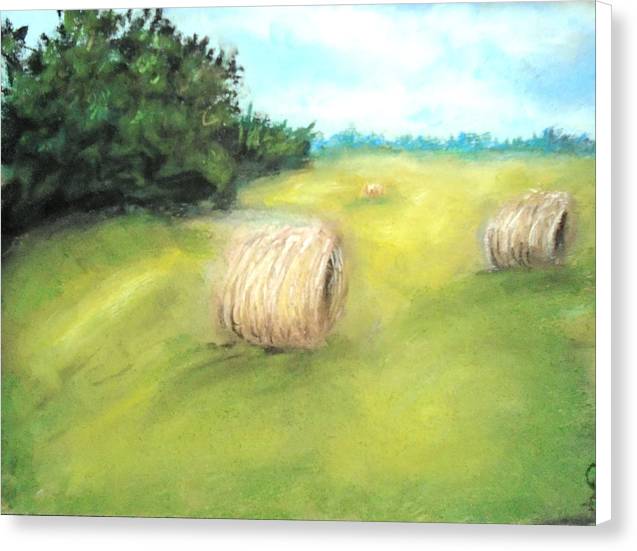 Fields Of Dreams - Canvas Print