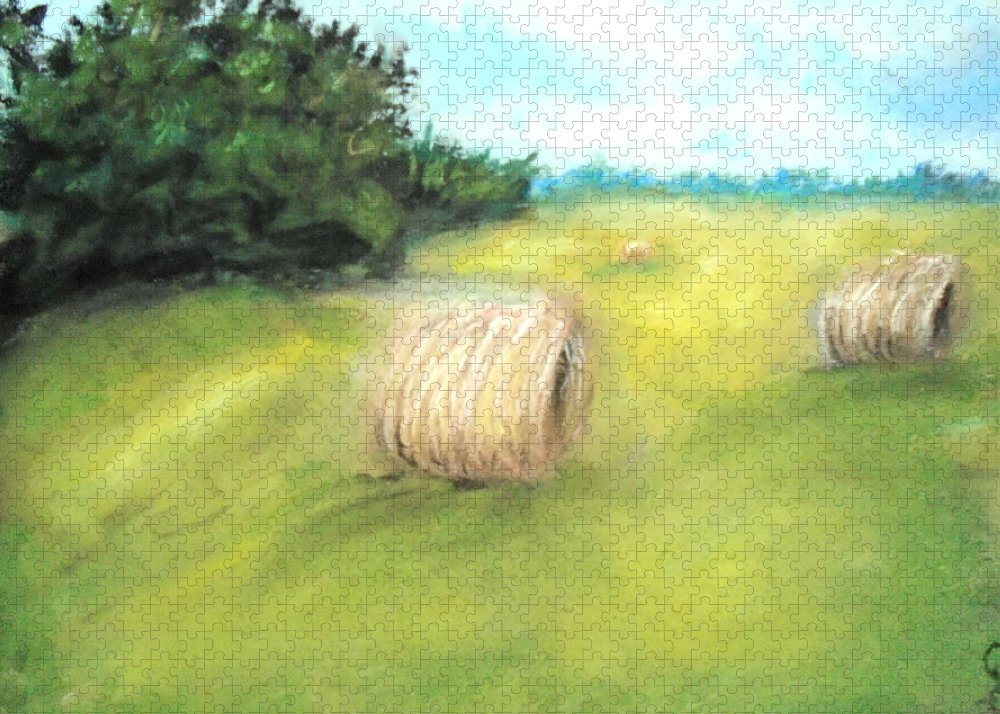 Fields Of Dreams - Puzzle