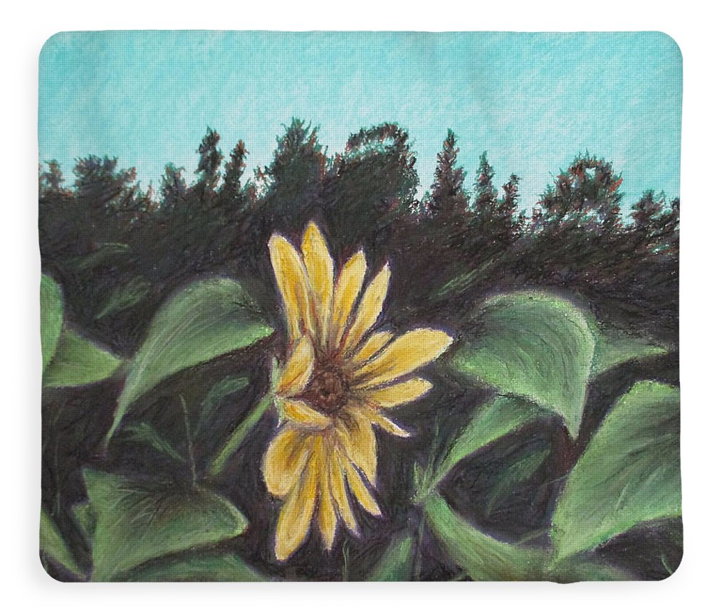 Flower Hour - Blanket